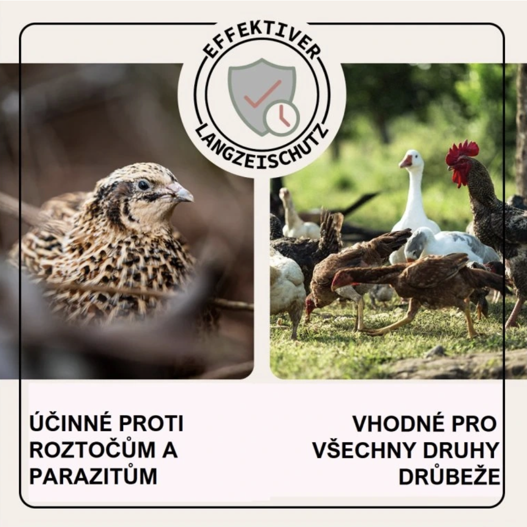 Screenshot 2026-02-04 at 16.49.18